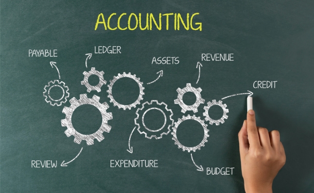 The Role of Accounting Software