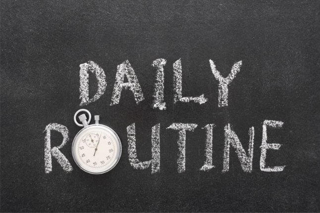 Establish a Routine